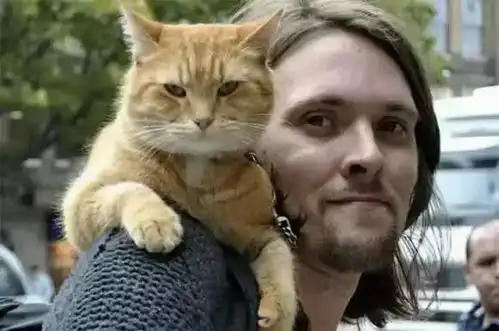一只猫拯救了他的整个人生