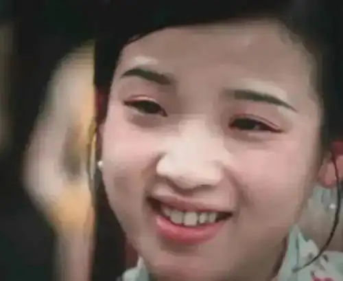 新红楼梦遭网友吐槽