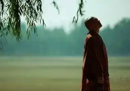 新版西游记高清剧照