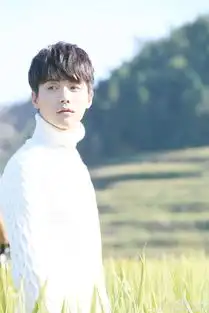 近期好看的与即将上映的电视剧