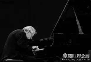 世界著名钢琴家排名,十位传奇钢琴家中国上榜一位
