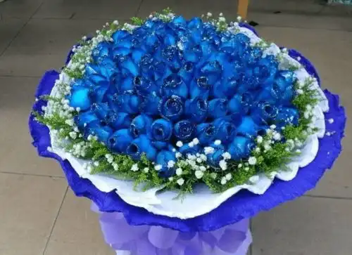 苦命鼠,你的大限已到,天意难为,谁也帮不了你
