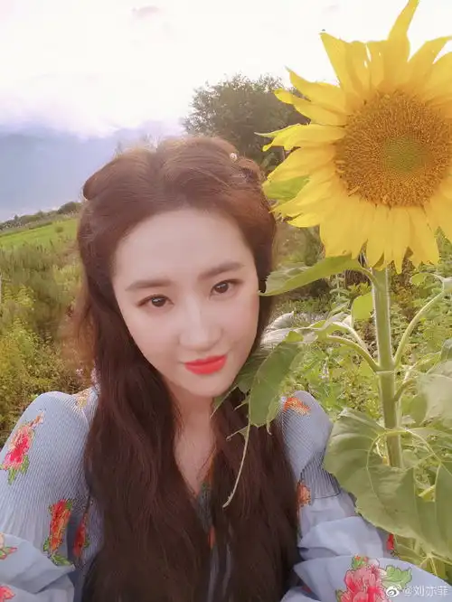 组图刘亦菲告别去有风的地方与大理美景合照氛围感十足
