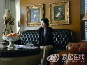 电视剧蜗居大热家居装修剧照看房奴辛酸
