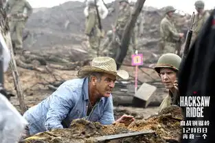 专访血战钢锯岭导演吉布森主演加菲