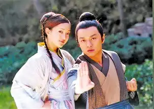为国为民,侠之大者
