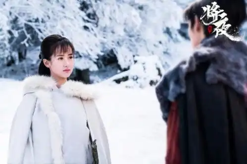 将夜最爱宁缺的不是桑桑也不是书痴莫山山,而是为其献身的她
