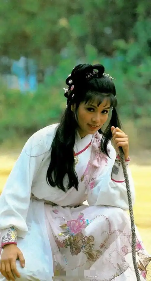 翁美玲射雕英雄传剧照
