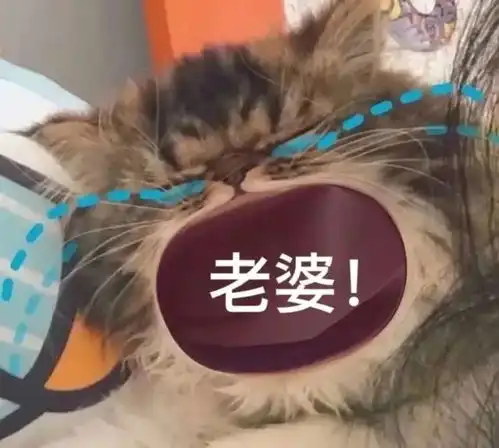 你怎么把小伙的彩礼钱偷了