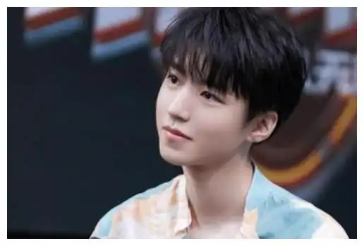 成毅王俊凯吴磊迪丽热巴张哲瀚龚俊王源许凯杨幂