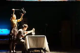 导演王翀如果纯粹是为了消遣,戏剧之外有太多别的行业可以选择乌镇戏剧节
