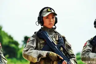 我是特种兵之火凤凰哪个台播我是特种兵第三季一共多少集