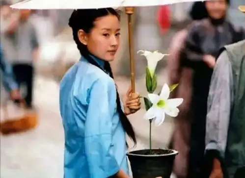 董洁余生很贵,只做自己
