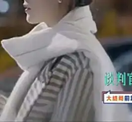 谈判官中商碧晨这条白围巾是什么牌子的
