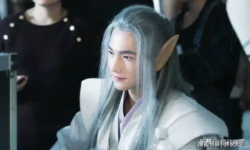 15位男星的古装白发剧照,你们都喜欢谁呀觉得哪几位的最帅
