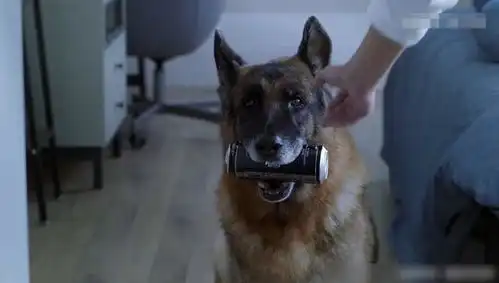 张译重生输在了哪里
