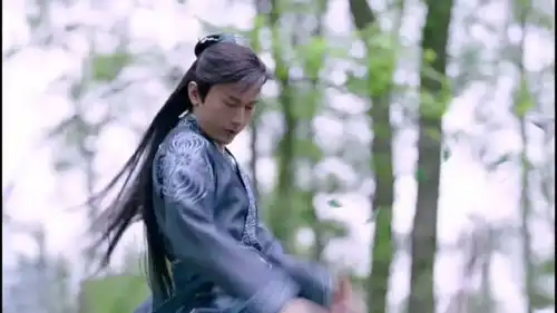 司凤的资质,创派千年难见,我嘱意,禹司凤,为离泽宫首徒