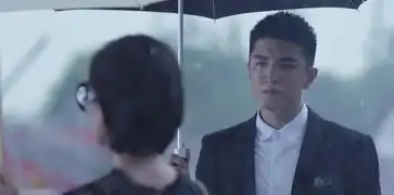 你和我的倾城时光第2集分集剧情电视剧
