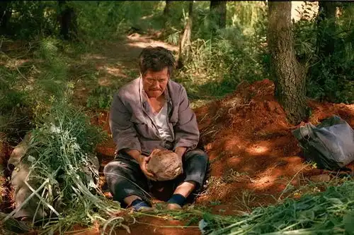 人情似纸张张薄脱发者说