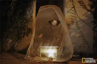 国家地理摄影大赛获奖作品展