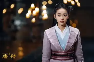 唐砖剧照
