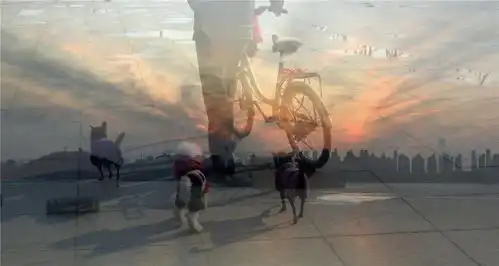 2020年度作品大赛投稿作品欣赏郑志武作品
