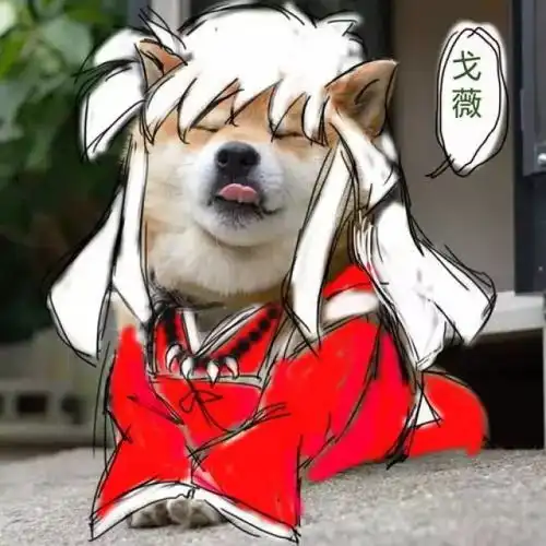 什么,犬夜叉的原型竟然是柴犬
