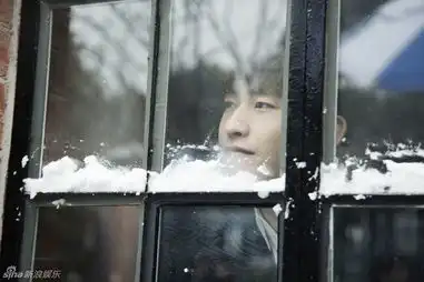 杉杉来了收官张翰雪中画心浪漫
