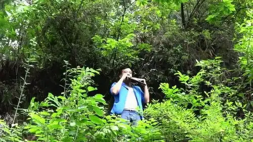 排箫演奏静寂山林
