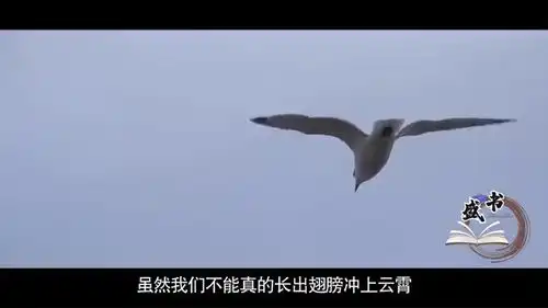 小飞侠彼得潘小飞侠带女孩飞入奇幻岛,一起畅游梦幻王国
