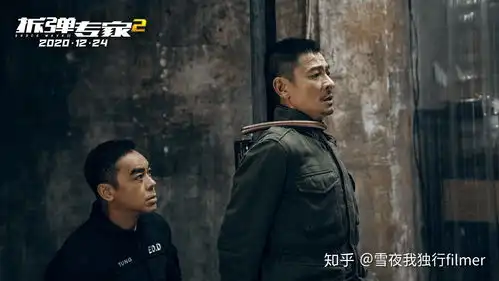 无间道后最好的港片,冲刺30亿票房,2020年最后的王炸
