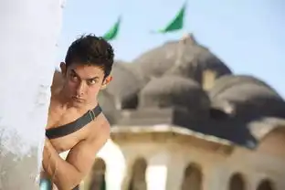 2017年端午节期间上映电影
