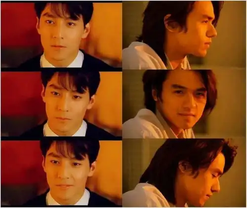 看吴彦祖演戏,我都替脸觉得可惜