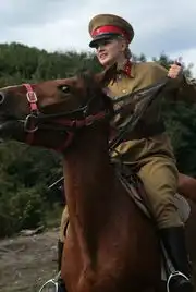 河南卫视我的娜塔莎开播被评最强开年大戏
