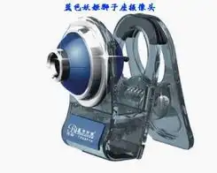 当香港大学美女爱上蓝色妖姬狮子座
