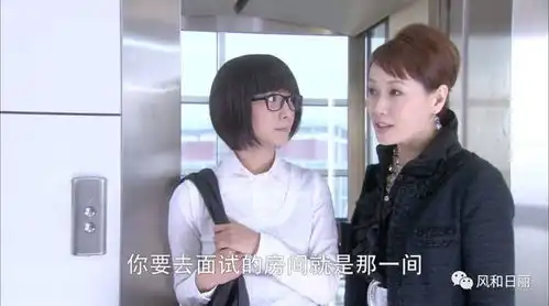 杜拉拉升职记从民企到外企的小白,适合摸爬滚打,野蛮成长
