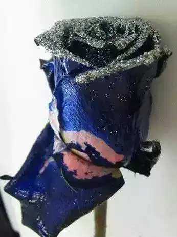 收到花的无锡人注意了,这种蓝色妖姬竟然对人体有害
