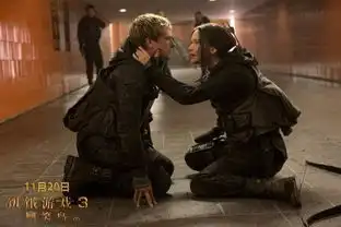 饥饿游戏3下创意海报大表姐泣血美哭
