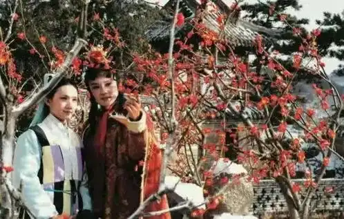 栊翠庵三美斗法,为什么这一次林黛玉被怼得哑口无言