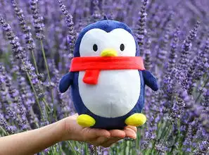 qqfamily家族正版qq企鹅公仔毛绒玩具企鹅布娃娃卡通可爱多福玩偶