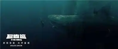 巨齿鲨李冰冰剧照巨齿鲨李冰冰主演吗
