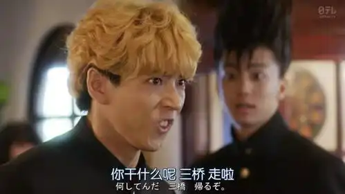 日剧我是大哥大有第二季嘛