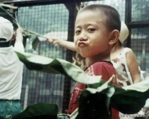 明星童年照和现在一模一样,林俊杰完美复制,而他与儿子撞脸
