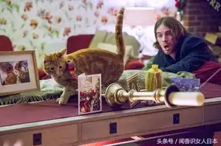 一只猫改变了一个人的人生,电影流浪猫鲍勃让你知道猫孩子的可爱