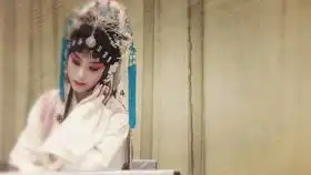 贩马记写状片段02单雯周鑫by单雯昆曲世界