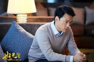 好先生王耀庆碎屏海报熟男配雪茄壕气难挡8427311
