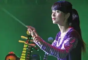 闪闪的红星国际青少年联盟管弦乐团系列音乐会
