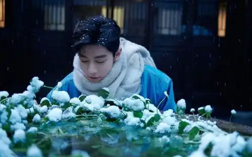 240122雪中风采,肖战的冬日魅力释放