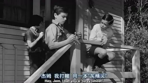 杀死一只知更鸟芬奇接下案子,警官走后他陷入深思
