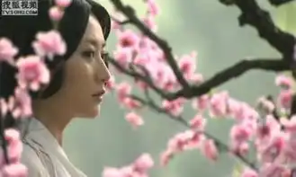 神话胡歌版剧照
